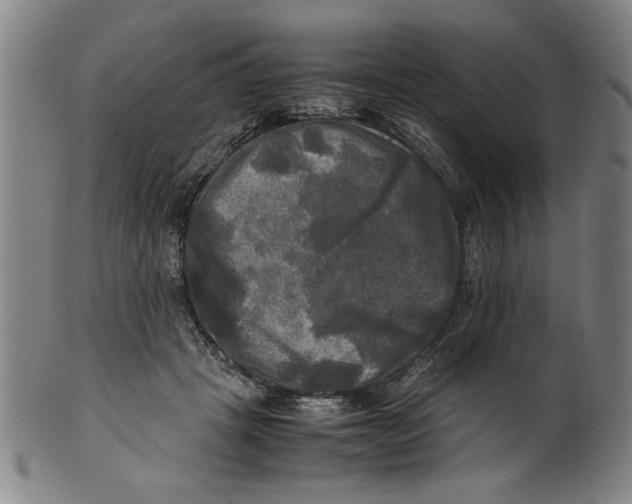 X0000099410457200806060935