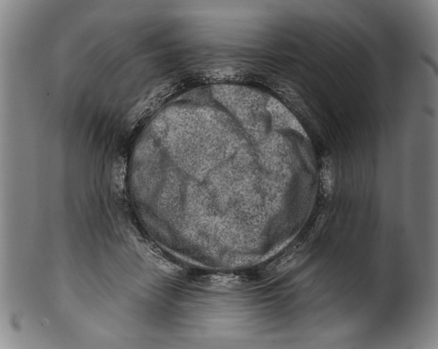 X0000099410458200806060935