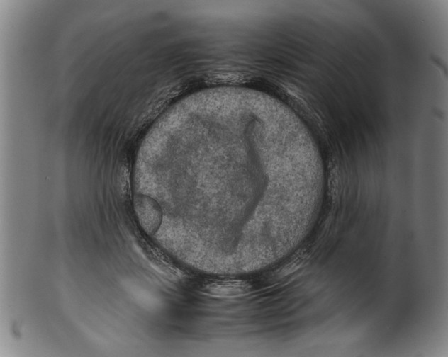 X0000099410459200806060935