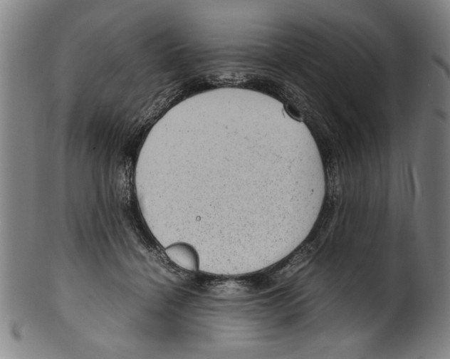 X0000099410460200806060936