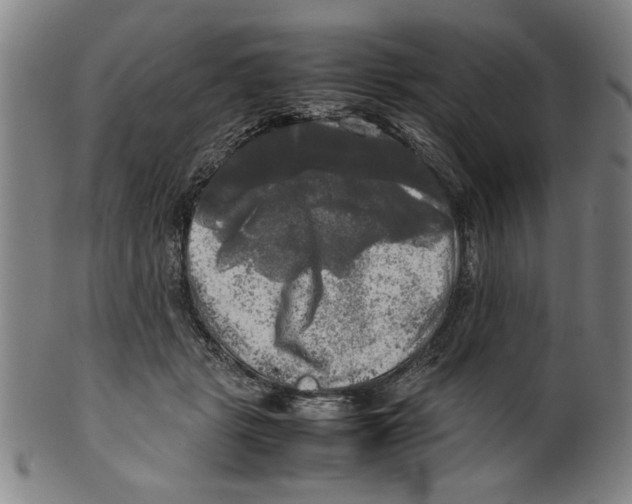 X0000099410461200806060936