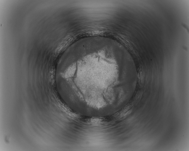 X0000099410462200806060936