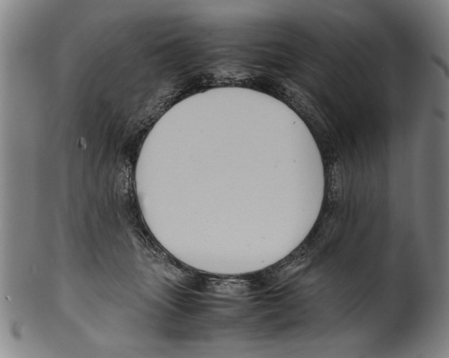 X0000099410463200806060936