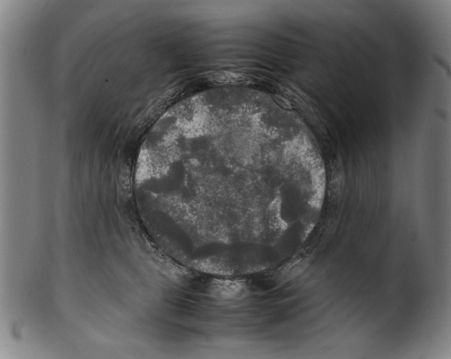 X0000099410469200806060936