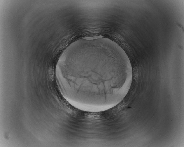 X0000099410471200806060936