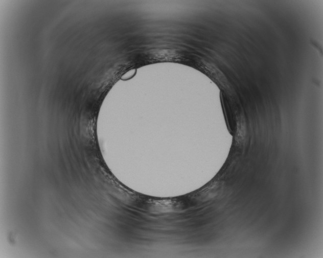 X0000099410473200806060936