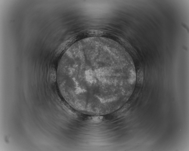 X0000099410474200806060936