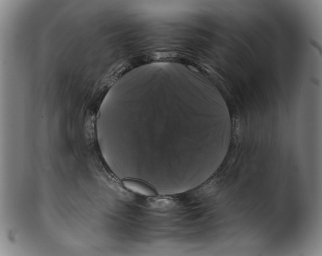 X0000099410475200806060936