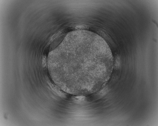 X0000099410478200806060936