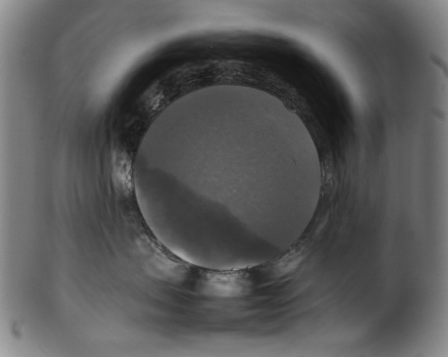 X0000099410479200806060936