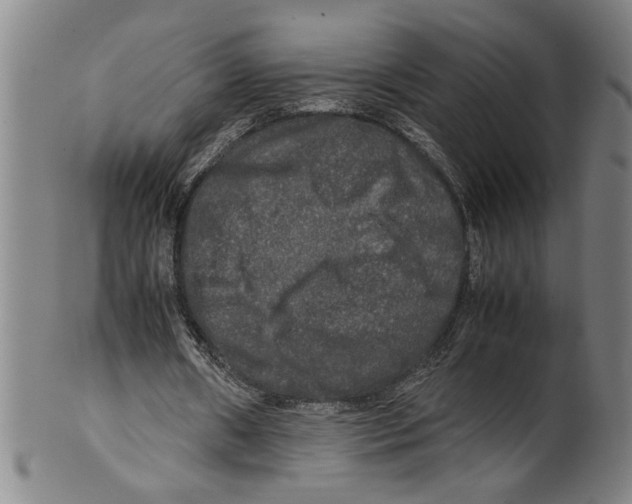 X0000099410482200806060935