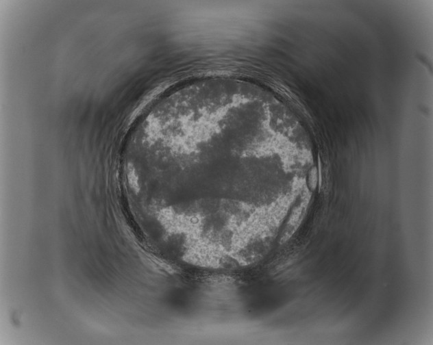 X0000099410483200806060935