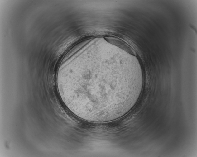 X0000099410485200806060935