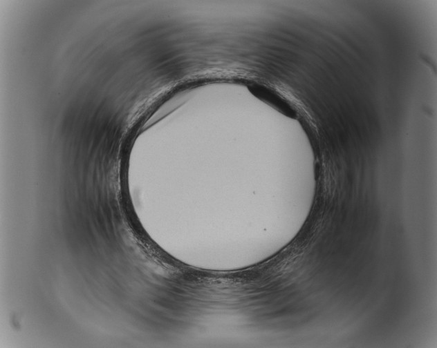 X0000099410486200806060935