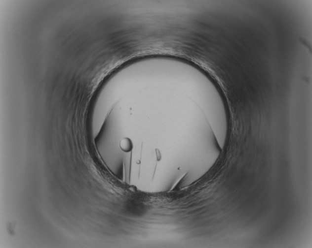 X0000099410487200806060935