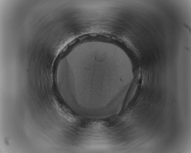 X0000099410488200806060935