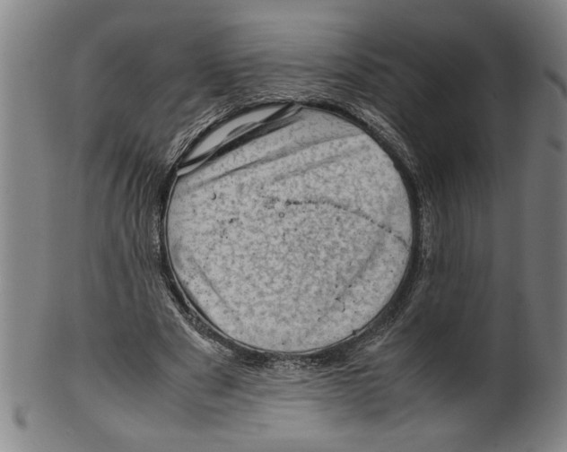 X0000099410489200806060935