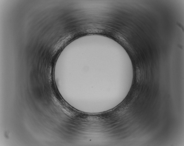 X0000099410490200806060935