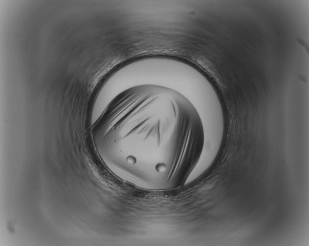 X0000099410491200806060935