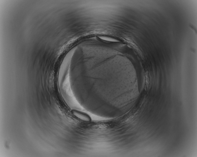 X0000099410492200806060935