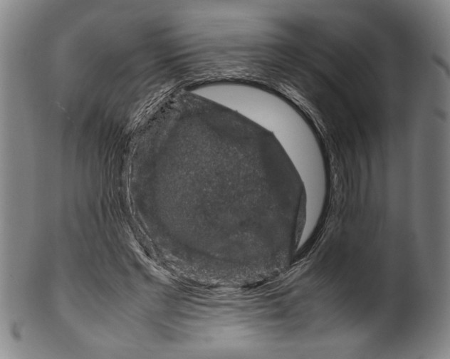 X0000099410493200806060935