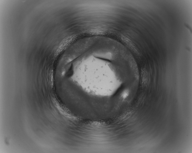 X0000099410494200806060935