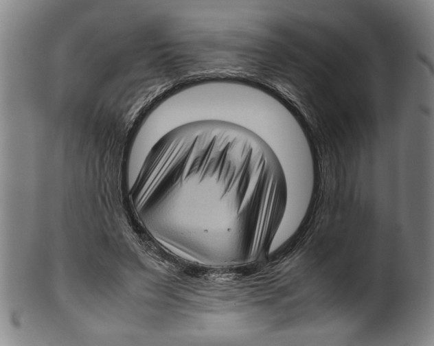 X0000099410495200806060935