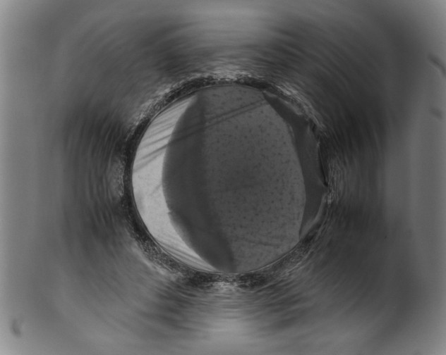 X0000099410496200806060935