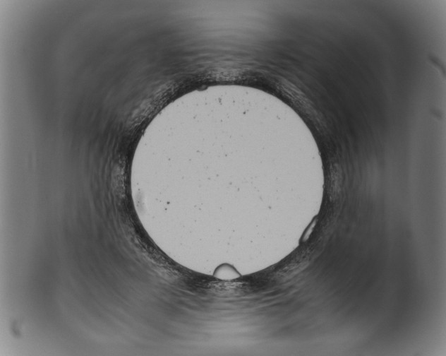 X0000099410497200806060935