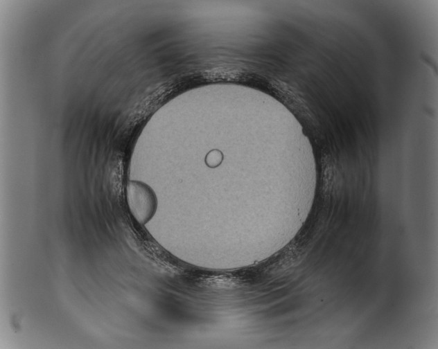 X0000099410498200806060935