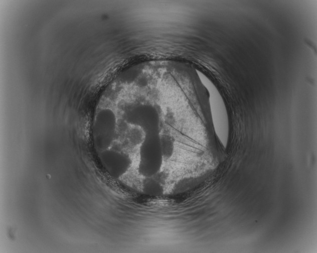 X0000099410499200806060935