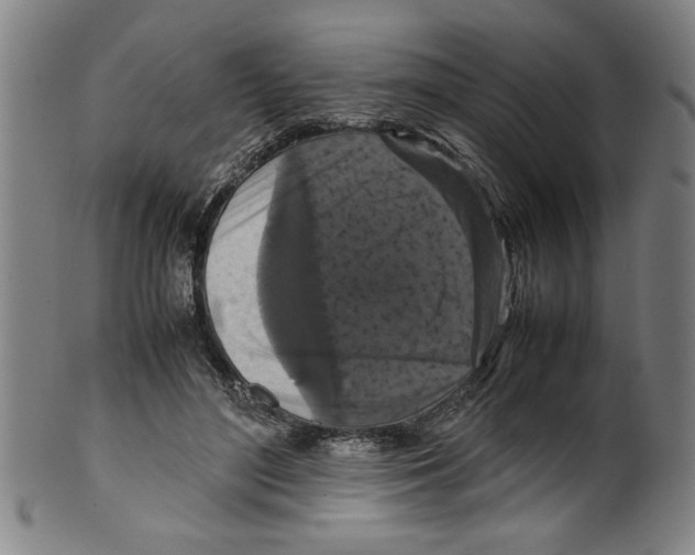 X0000099410500200806060935