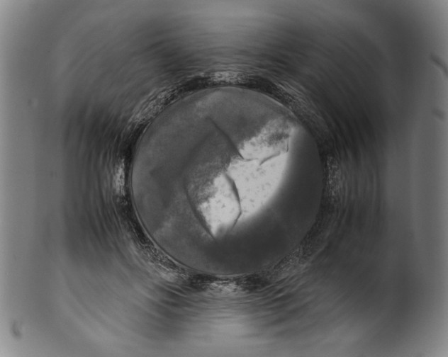 X0000099410502200806060935