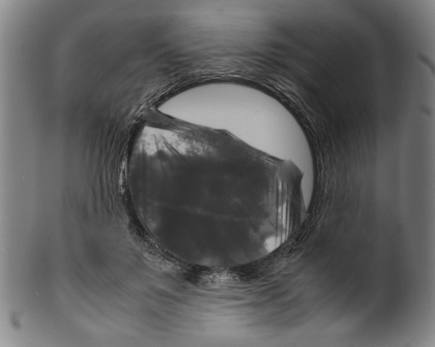 X0000099410503200806060935