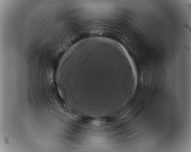 X0000099410504200806060935