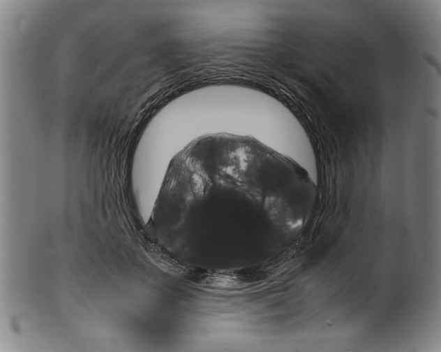 X0000099410507200806060935