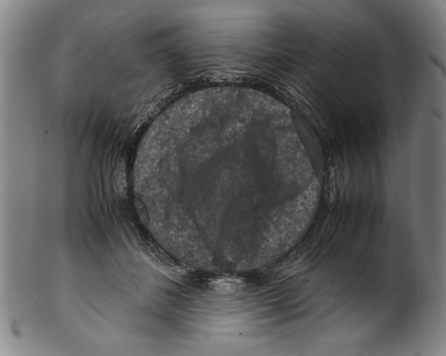 X0000099410508200806060935