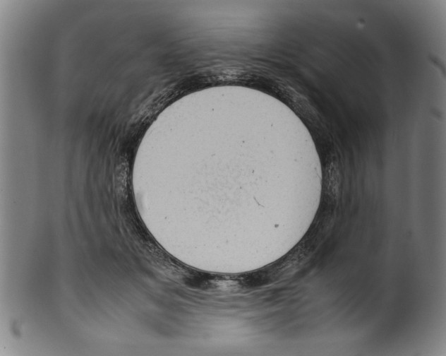 X0000099410509200806060935