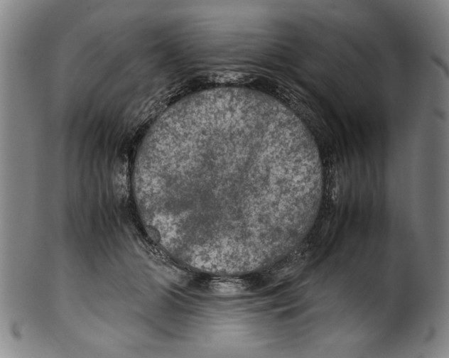 X0000099410510200806060935