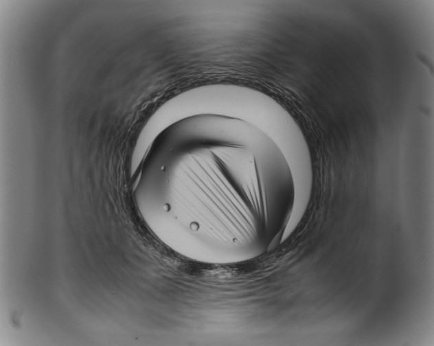 X0000099410511200806060935