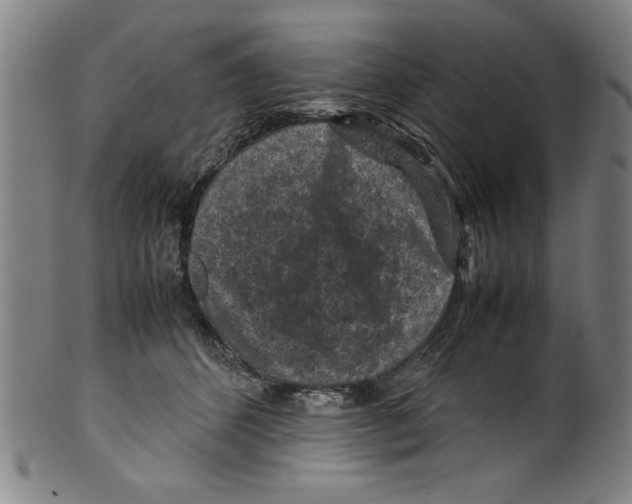 X0000099410512200806060935