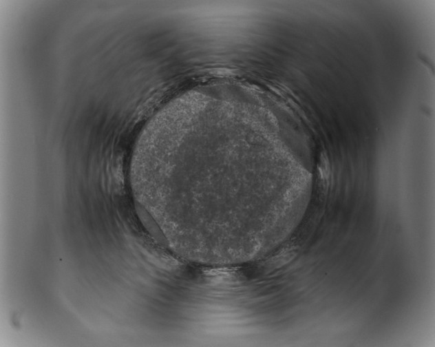 X0000099410516200806060935