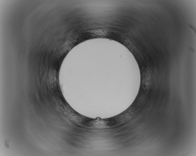 X0000099410518200806060935