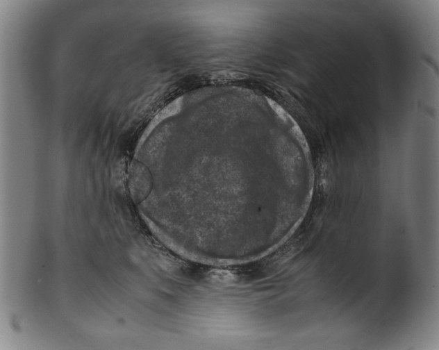 X0000099410519200806060935