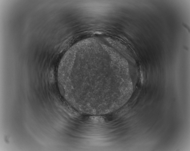 X0000099410520200806060935