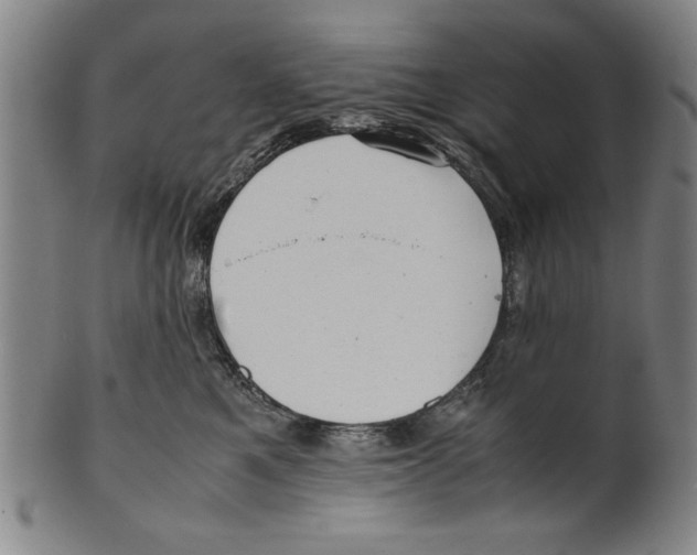 X0000099410521200806060935