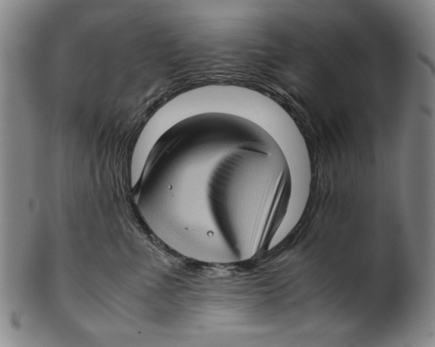 X0000099410523200806060935