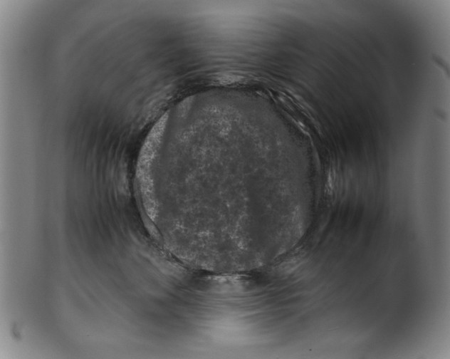 X0000099410524200806060935