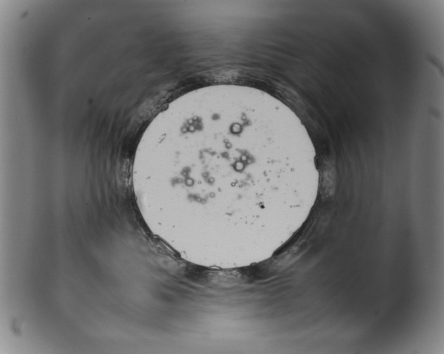 X0000099410525200806060934