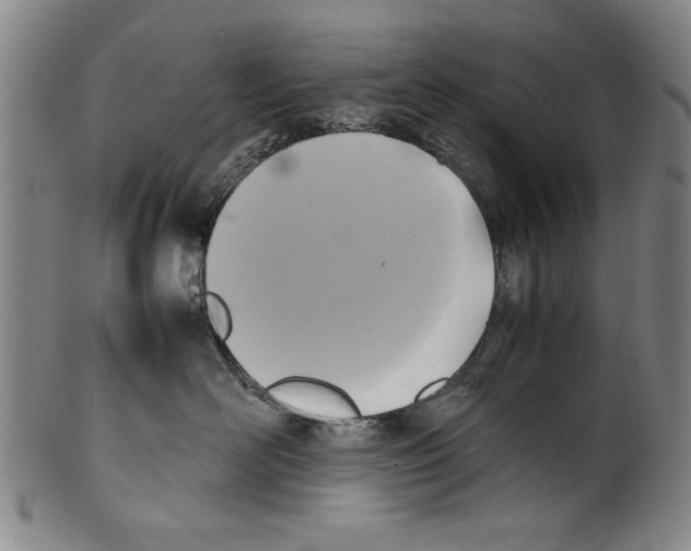 X0000099410526200806060934